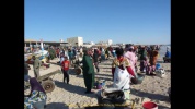 2013 Mauritanie  Nouakchott, Port De Pêche, Les Acheteuses, Les Vendeuses, Fish Market.mp4