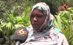 Vidéo : au coeur du poumon vert de Nouakchott, chez les " fleuristes "