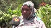 Vidéo : au coeur du poumon vert de Nouakchott, chez les 