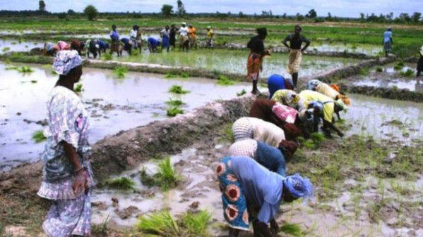 Mauritanie : terre promise des investisseurs arabes