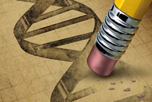 Article 38 et wahhabisme constitutionnel : Aziz indexe les européens... Article 38 et wahhabisme constitutionnel : Aziz indexe les européens...