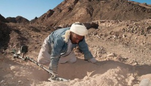 Le Premier ministre préside une réunion d'un comité ministériel Le Premier ministre préside une réunion d'un comité ministériel