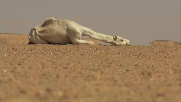 En attendant le referendum : Il fera chaud En attendant le referendum : Il fera chaud