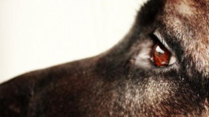 Vu à Nouakchott aujourd’hui… Vu à Nouakchott aujourd’hui…