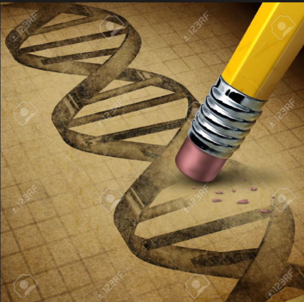 Commission sénatoriale : manipuler la constitution par ses défenseurs n'est pas convenable Commission sénatoriale : manipuler la constitution par ses défenseurs n'est pas convenable