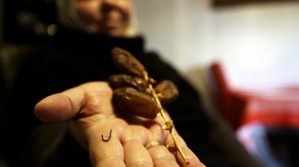 Distribution de 55 tonnes de dattes au profit des familles nécessiteuses dans la wilaya du Gorgol