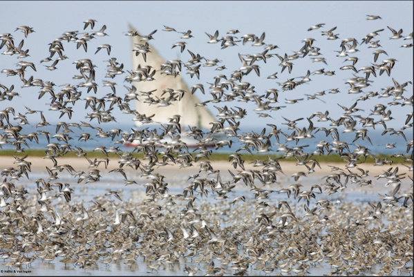 Bilan du Fonds fiduciaire mauritanien BAcoMAB Bilan du Fonds fiduciaire mauritanien BAcoMAB