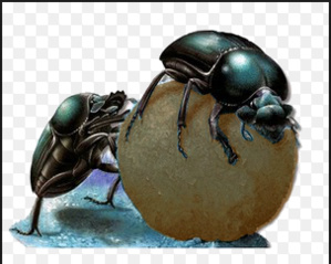 Démarrage d’une formation sur les fondements de la presse d’investigation Démarrage d’une formation sur les fondements de la presse d’investigation