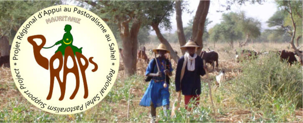 La ministre de l’Elevage expose l’expérience mauritanienne devant la 85e session de l’organisation mondiale de la santé animale La ministre de l’Elevage expose l’expérience mauritanienne devant la 85e session de l’organisation mondiale de la santé animale