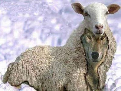 Le PM en campagne de sensibilisation sur la réforme constitutionnelle à l’Est du pays Le PM en campagne de sensibilisation sur la réforme constitutionnelle à l’Est du pays