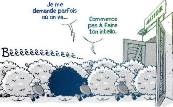 Le FNDU met en garde contre le retour du discours du 3ème mandat Le FNDU met en garde contre le retour du discours du 3ème mandat