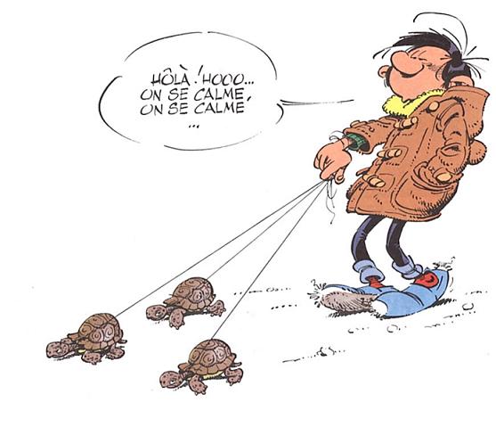 Trarza : Début des travaux de reprise du réseau routier Trarza : Début des travaux de reprise du réseau routier