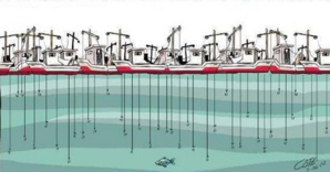 Mauritanie : l’Etat "couvre" une société chinoise qui "détruit" la pêche Mauritanie : l’Etat "couvre" une société chinoise qui "détruit" la pêche