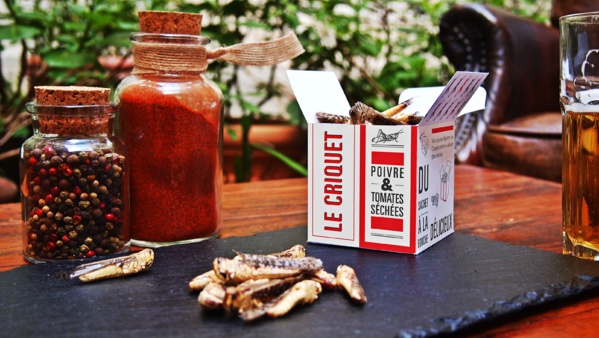 Acquisition de véhicules tout terrain pour renforcer les capacités des équipes de lutte anti-aviaire Acquisition de véhicules tout terrain pour renforcer les capacités des équipes de lutte anti-aviaire