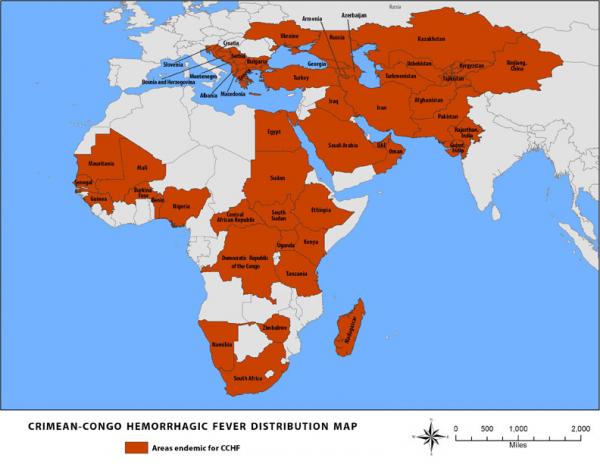 Mauritanie : le silence officiel autour du virus de Crimée-Congo