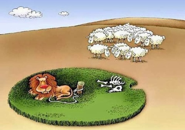 Mohcen Ould El Haj : Ould Abdel Aziz vit les derniers jours de son règne Mohcen Ould El Haj : Ould Abdel Aziz vit les derniers jours de son règne