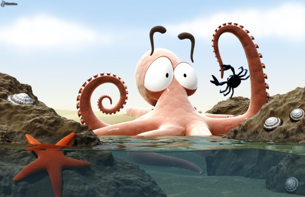 Grande déception autour de la vente du poulpe mauritanien Grande déception autour de la vente du poulpe mauritanien