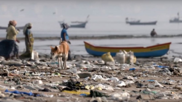 Le ministère des pêches organise une campagne d’assainissement du littoral de Nouakchott Le ministère des pêches organise une campagne d’assainissement du littoral de Nouakchott