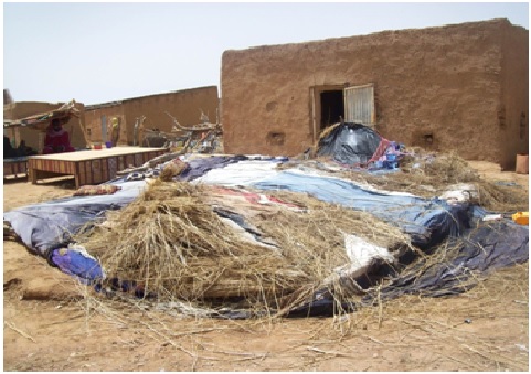 7 blessés et 53 hangars détruits suite à une tempête qui a fait rage à Zreigat au Guidimakha 7 blessés et 53 hangars détruits suite à une tempête qui a fait rage à Zreigat au Guidimakha