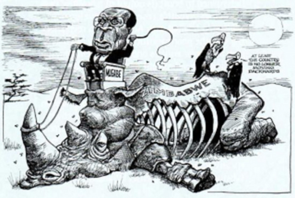 Zimbabwe: Mugabe vend des vaches pour financer l'Union africaine Zimbabwe: Mugabe vend des vaches pour financer l'Union africaine