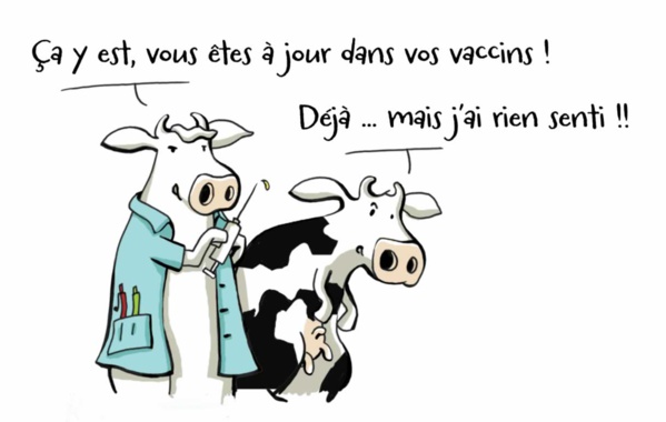 Lancement de projets : Un parc de vaccination bovine et un jardin maraicher au profit du village de Zrag-Ainou (Photoreportage) Lancement de projets : Un parc de vaccination bovine et un jardin maraicher au profit du village de Zrag-Ainou (Photoreportage)