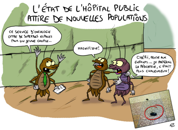 Le Président de la République inaugure à partir de R’kiz quatre centres de santé