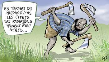 Revue du plan national intégré d’appui à la sécurité nucléaire Revue du plan national intégré d’appui à la sécurité nucléaire