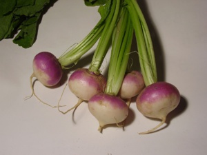 Le regroupement national des distributeurs de légumes et fruits en meeting de soutien aux amendements constitutionnels