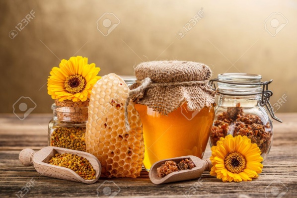 Vers la création d’un club national des acteurs opérant dans l’élevage des abeilles en Mauritanie