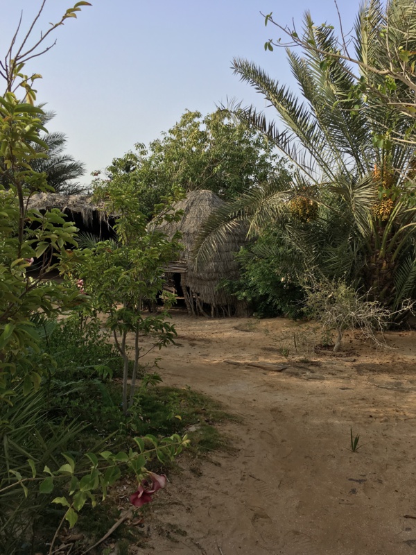Miracle au milieu du chaos : ce mauritanien est la preuve qu’à  Nouakchott tout était possible…