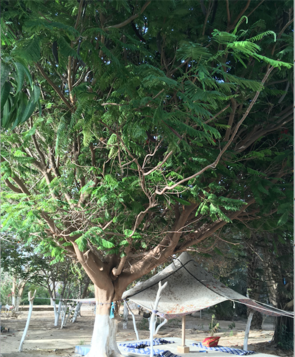 Miracle au milieu du chaos : ce mauritanien est la preuve qu’à Nouakchott tout était possible… Miracle au milieu du chaos : ce mauritanien est la preuve qu’à Nouakchott tout était possible…