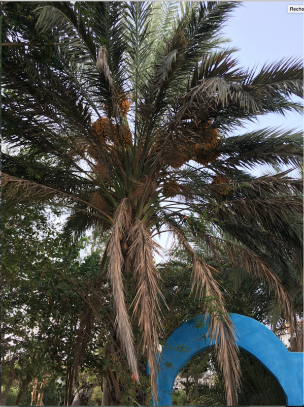 Miracle au milieu du chaos : ce mauritanien est la preuve qu’à Nouakchott tout était possible… Miracle au milieu du chaos : ce mauritanien est la preuve qu’à Nouakchott tout était possible…