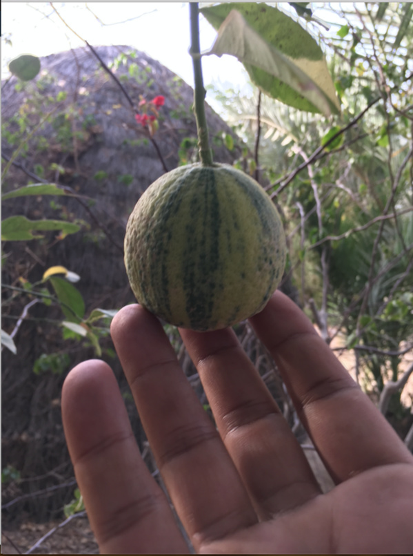 Miracle au milieu du chaos : ce mauritanien est la preuve qu’à Nouakchott tout était possible… Miracle au milieu du chaos : ce mauritanien est la preuve qu’à Nouakchott tout était possible…