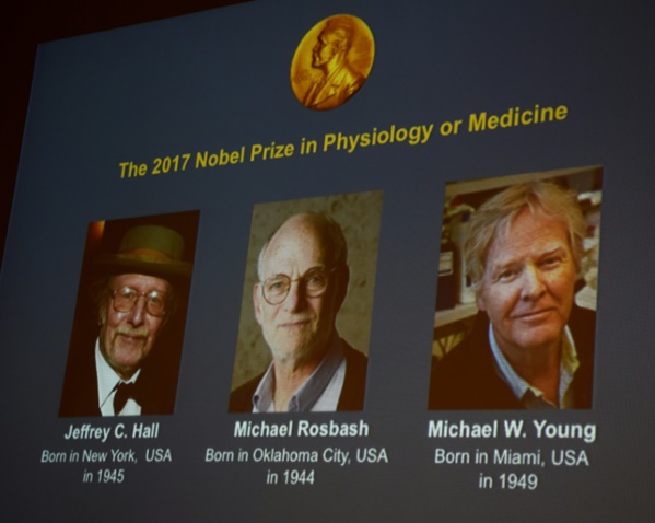 Nobel de médecine: trois spécialistes américains de l'horloge biologique primés Nobel de médecine: trois spécialistes américains de l'horloge biologique primés