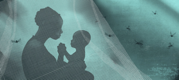 Lancement de la campagne de distribution des moustiquaires imprégnées au niveau du Hodh Charghi Lancement de la campagne de distribution des moustiquaires imprégnées au niveau du Hodh Charghi