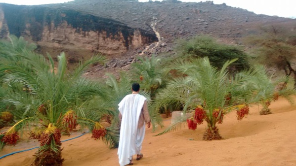 Tourisme : Terjit se pare pour la saison 2017/ 2018 Tourisme : Terjit se pare pour la saison 2017/ 2018