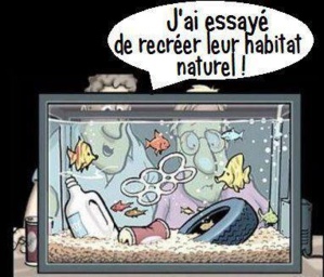 Démarrage d’une session de formation sur la convention du commerce international des espèces de faune et de flore menacées d’extinction Démarrage d’une session de formation sur la convention du commerce international des espèces de faune et de flore menacées d’extinction