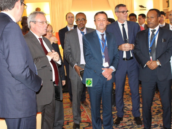 Réception à l’ambassade de France en l’honneur de la mission de l’ONU près le G5 Sahel