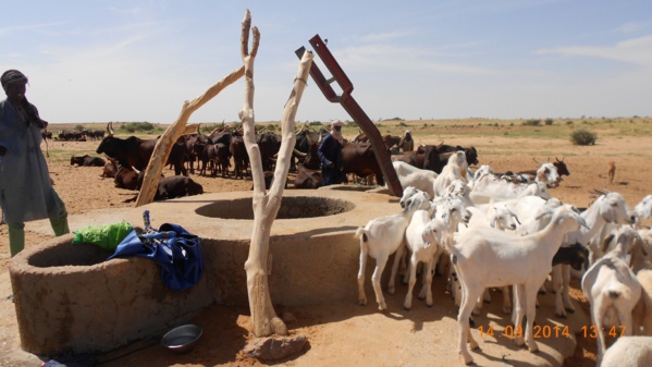 Guidimagha : Réunion de la commission régionale de développement Guidimagha : Réunion de la commission régionale de développement