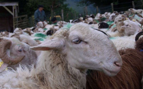 Rentrée politique : Calme troublant Rentrée politique : Calme troublant