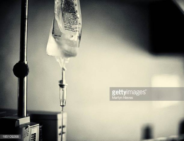 Mauritanie : 40 millions de dollars de la FAO pour le renforcement de la sécurité alimentaire Mauritanie : 40 millions de dollars de la FAO pour le renforcement de la sécurité alimentaire