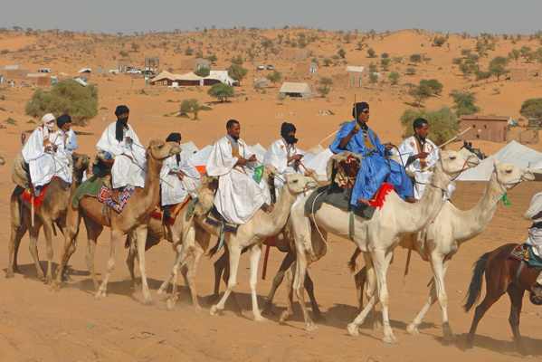 Les chameaux de Mauritanie en route pour Touba