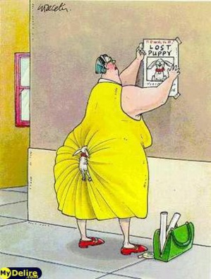 Mauritanie : disparition du blogueur Ould Mkheitir Mauritanie : disparition du blogueur Ould Mkheitir