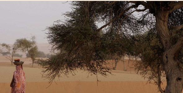 Mauritanie : le tourisme de retour aux sources sahariennes Mauritanie : le tourisme de retour aux sources sahariennes