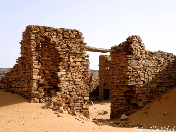Le Wali Tagant préside une réunion dans la ville de Tichit en préparation de la 7ème édition du Festival des villes anciennes Le Wali Tagant préside une réunion dans la ville de Tichit en préparation de la 7ème édition du Festival des villes anciennes