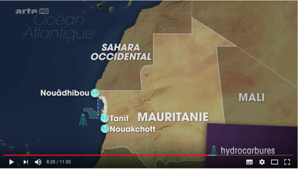 Ouverture d'un atelier à Chami sur la préservation du parc national du Banc d'Arguin Ouverture d'un atelier à Chami sur la préservation du parc national du Banc d'Arguin