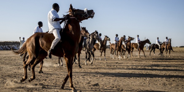 Organisation d’une course de chevaux à l’occasion des festivités du 57ème anniversaire de l’indépendance nationale Organisation d’une course de chevaux à l’occasion des festivités du 57ème anniversaire de l’indépendance nationale