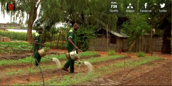Le Président de la République inaugure l’extension de la ferme agricole de Boghé Le Président de la République inaugure l’extension de la ferme agricole de Boghé