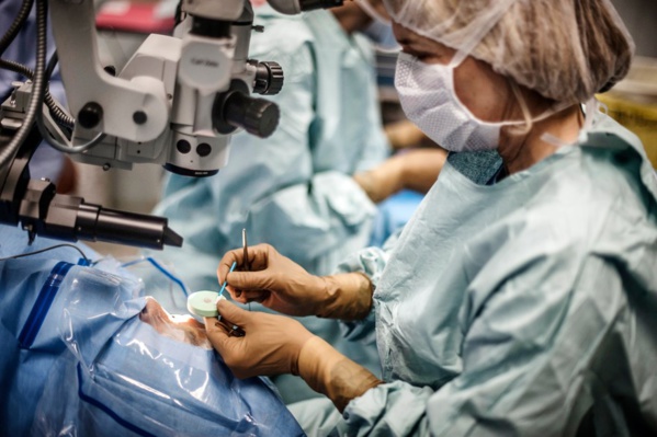 Chine-Mauritanie: les opérations de «Marche vers la lumière» continuent Chine-Mauritanie: les opérations de «Marche vers la lumière» continuent