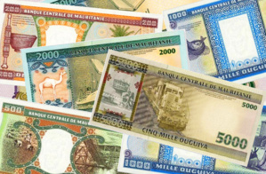 Tichit : Distribution de montants en espèce à des coopératives féminines Tichit : Distribution de montants en espèce à des coopératives féminines